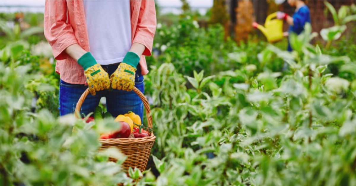 ALARMI I PRODHIMIT – Punëdhënësit më të mëdhenj, industria dhe bujqësia hyjnë në fazë recesioni…