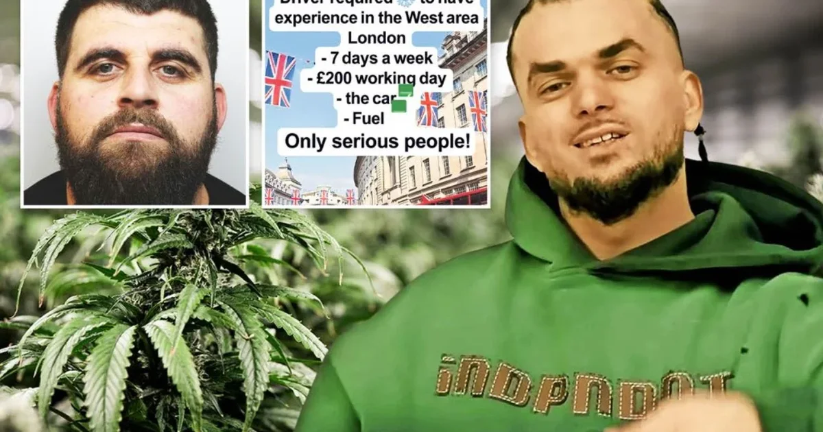 Bandat shqiptare në Angli kthejnë ‘TikTok’ në “agjenci punësimi”, ‘The Sun’: Reklamojnë paga deri në 100 mijë paund