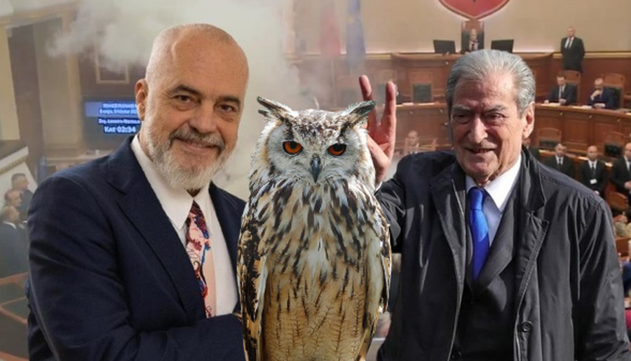 ‘Bufi i kënetës, peshqesh nga komunizmi’, Rama ironizon Berishën: Rri e mbretëron në llum