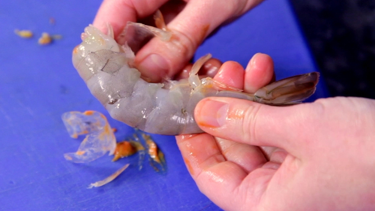 Dy Mënyra të Shpejta të Pastrimit të Karkalecave në Shtëpi