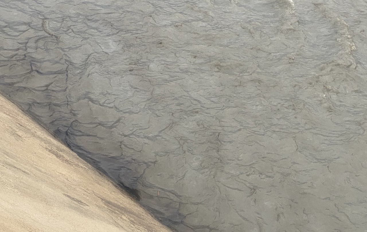 Fier – Reshjet e shiut rrisin ndotjen në lumin Gjanica, uji mbart mbetje hidrokarbure