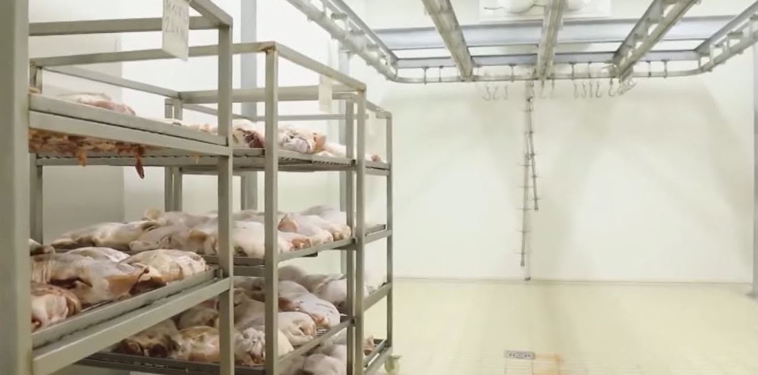 Importoi mish pule me salmonelë, shpallet në kërkim administratori i kompanisë, e pëson vëllai dhe 3 inspektorë të AKU