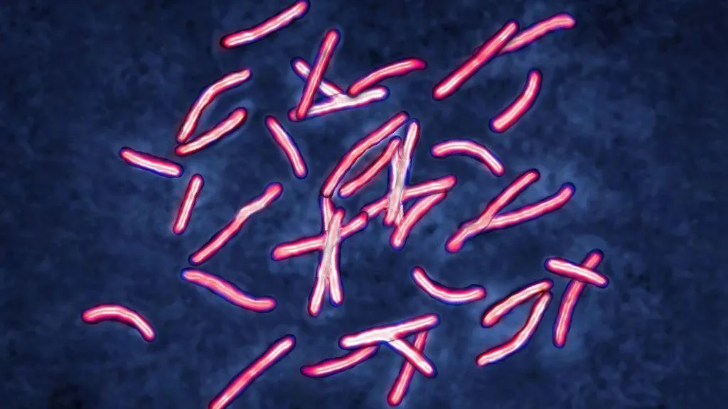 Inteligjenca Artificiale zgjidh për 2 ditë atë që shkencëtarëve iu deshën vite