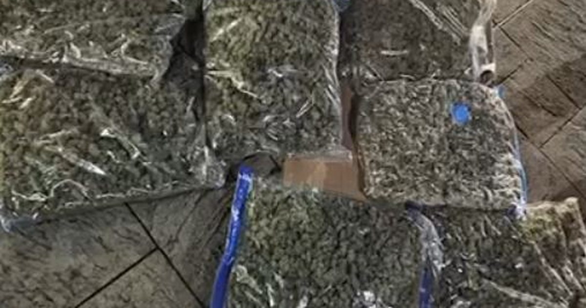 Kapet me 8 kg kanabis në makinë dhe armë pa leje, arrestohet 56-vjeçari në Tiranë