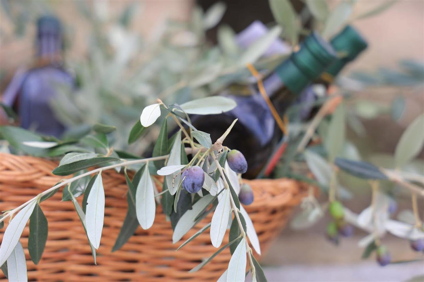 Mazniku: Vaji i ullirit nga Shqipëria bën histori