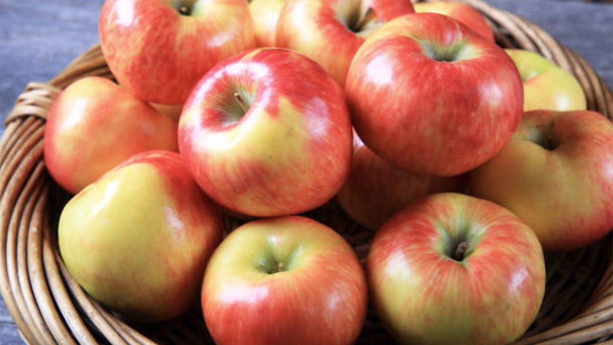 Mollët – Një Fakt Surprizues Rreth Tyre