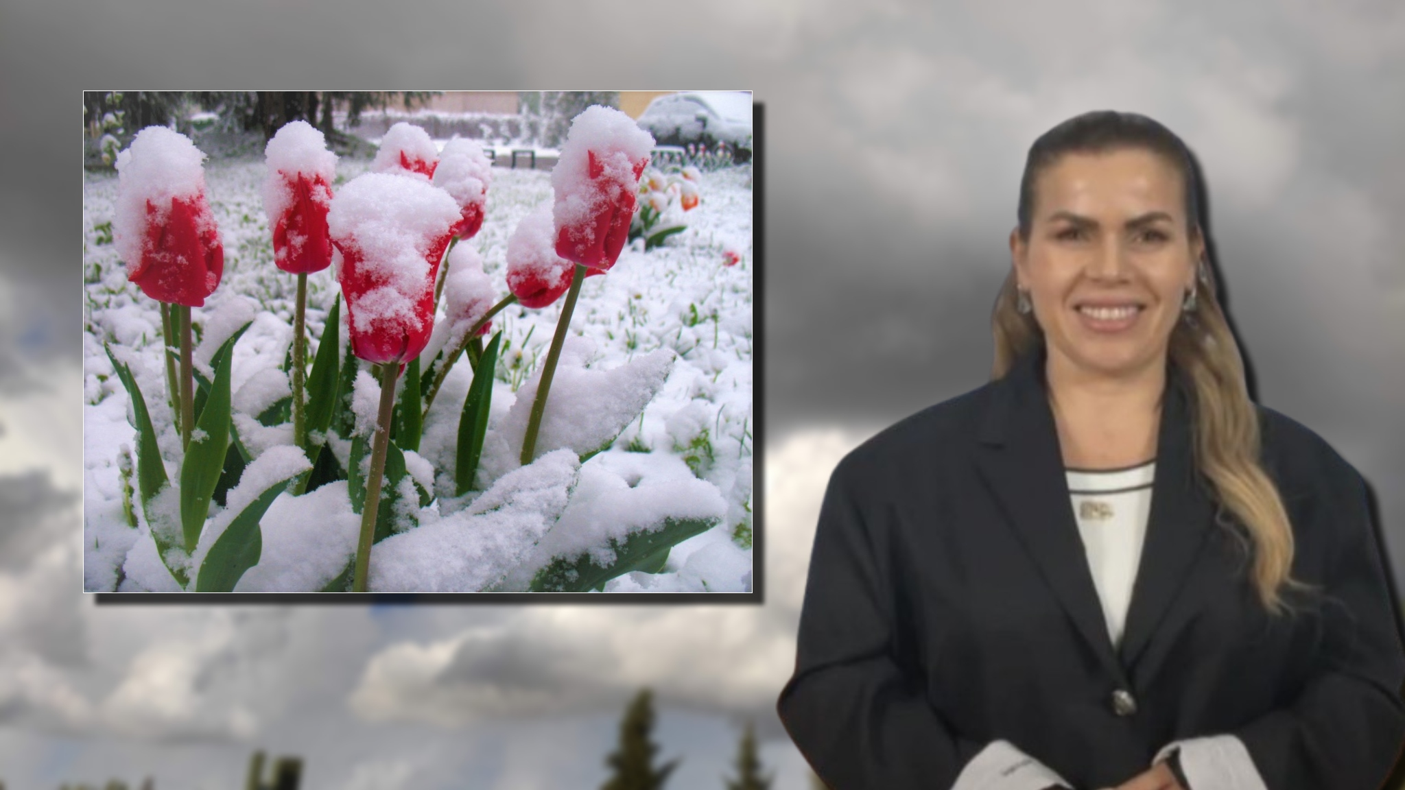 Mos e ndryshoni garderobën ende/ Meteorologia paralajmëron: Ja ditët kur pritet të rikthehen reshjet e dëborës