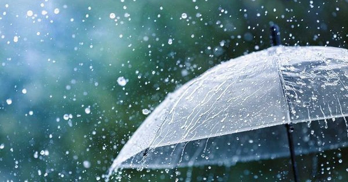 Mos harroni çadrat! Sot reshje shiu në të gjithë vendin, parashikimi i motit