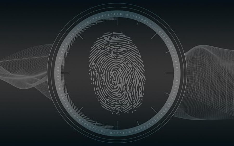 Pse janë unike shenjat e gishtave?