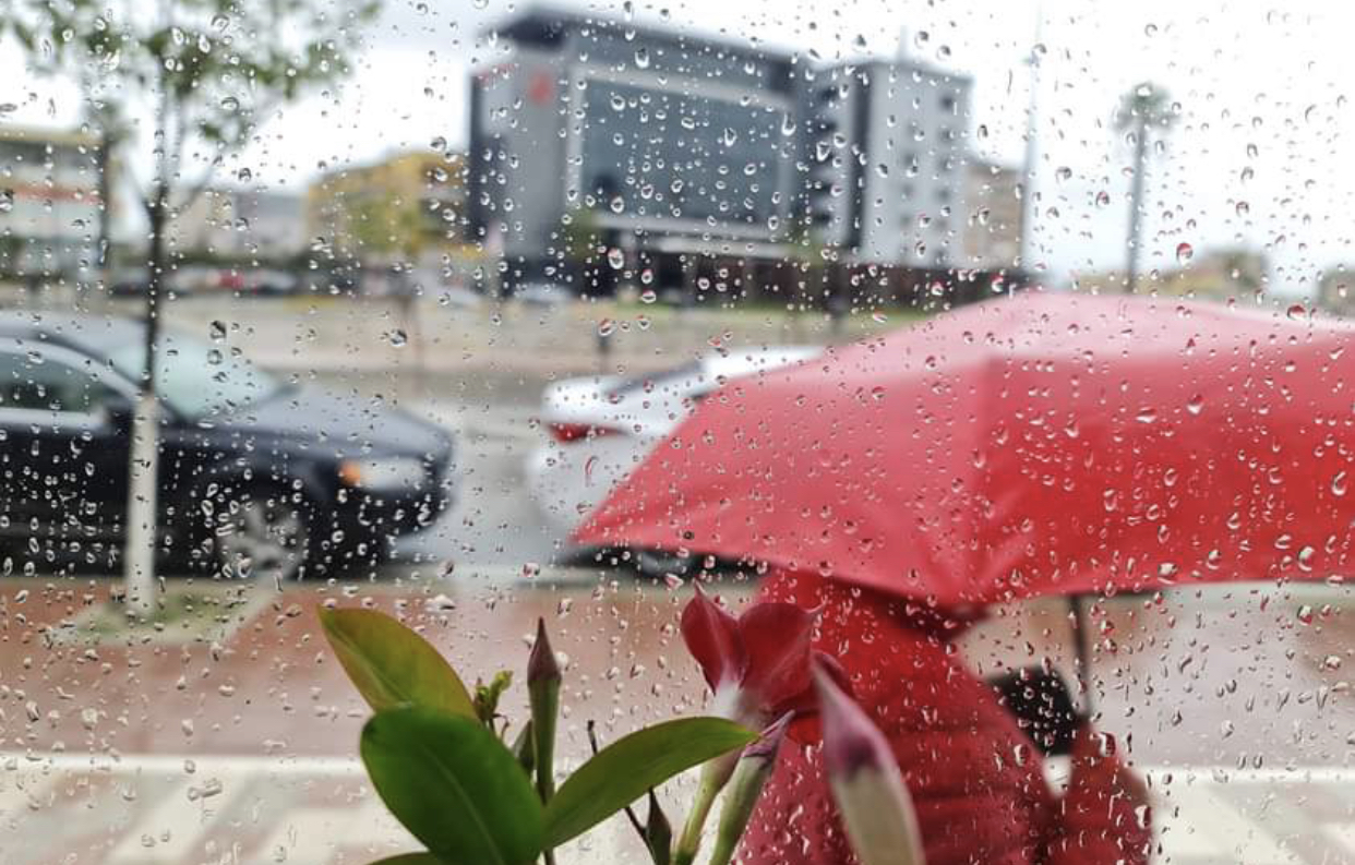 Reshje shiu dhe temperatura deri në 21 gradë, parashikimi i motit