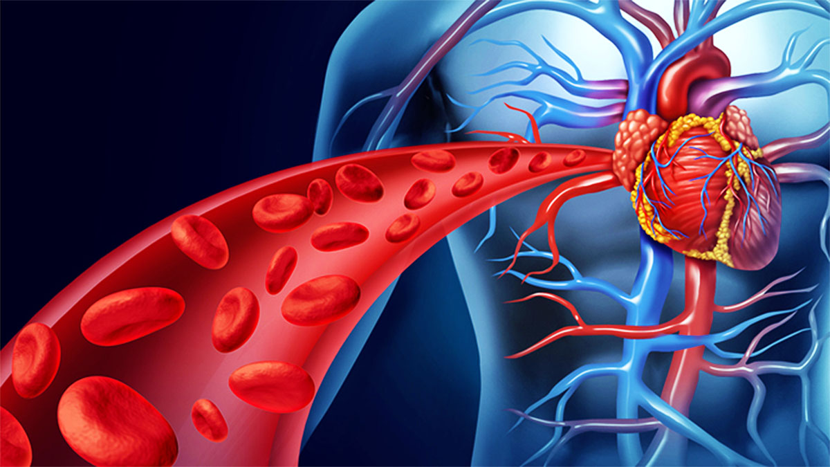 Sëmundjet që Shkaktojnë Zhurmë në Zemër – Shenjat që Duhet të Dini