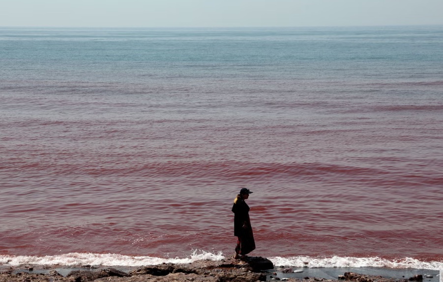Shkenca zbulon arsyen e ‘shiut të gjakut’ që skuqi brigjet e Iranit javën që shkoi