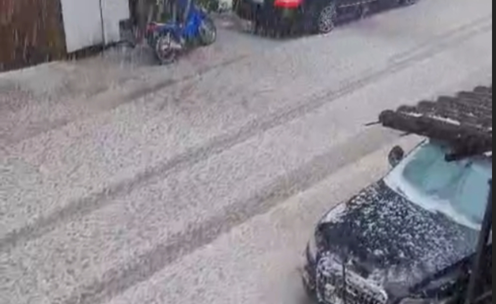 Stuhi breshëri në Frakull, fermerët të shqetësuar për dëmet në bujqësi