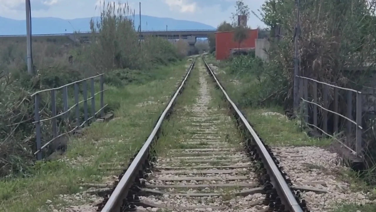 U godit nga treni i mallrave, plagoset rëndë 68-vjeçari në Levan
