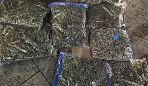 U kap me mbi 8 kg kanabis në makinë dhe armë pa leje, bie në prangat e policisë 56-vjeçari në Tiranë