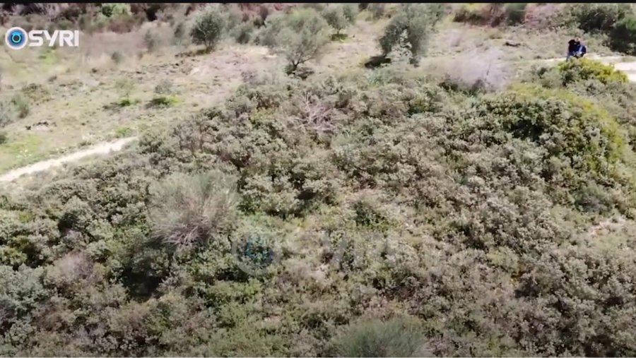 VIDEO-SYRI TV/ Tuma e Patosit, varri prehistorik i lënë në mëshirë të fatit, historiani: Ka vlera të mëdha