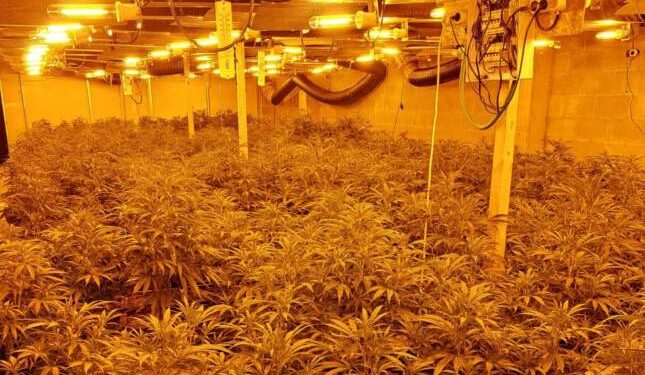 Zbulohen disa magazina e shtëpi bari në Spanjë, arrestohen 10 shqiptarë