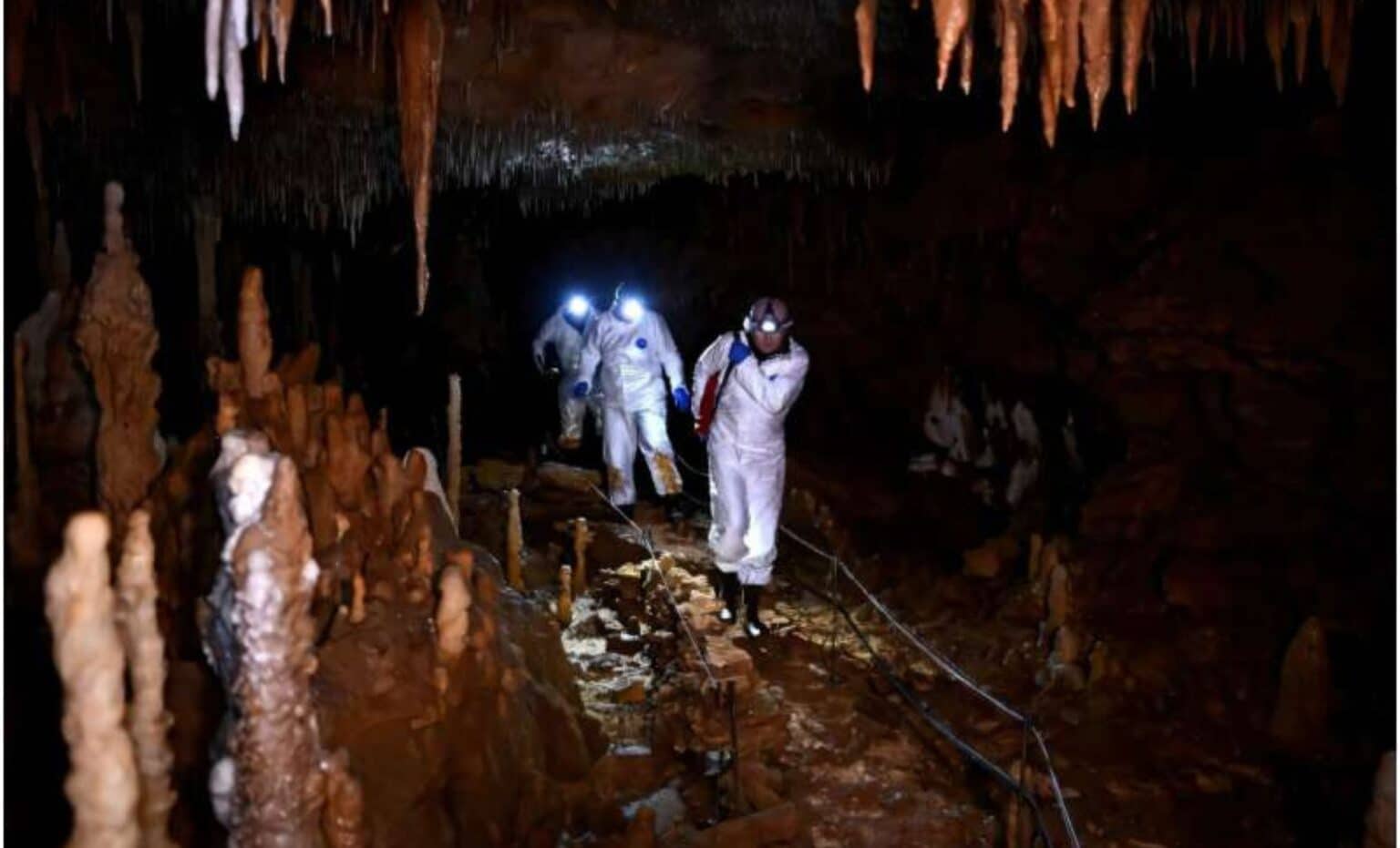 Zbulohen gdhendje 30,000-vjeçare dhe mbetje njerëzore të fshehura në një shpellë
