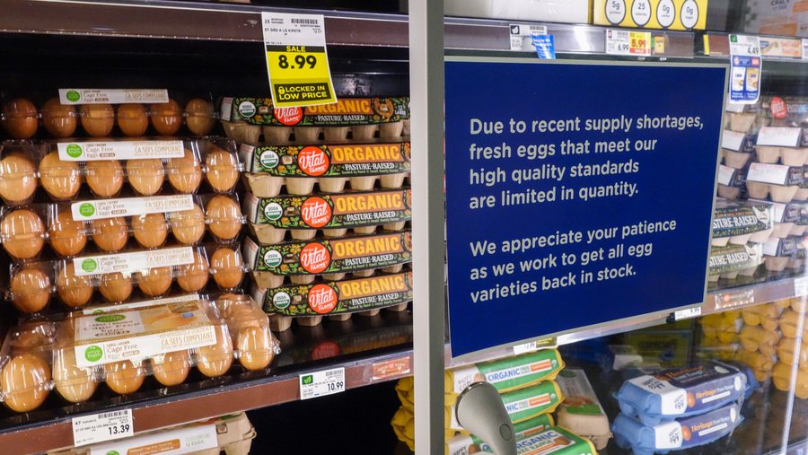 Zbulohet shteti që do të shpëtojë Amerikën nga kriza për vezë, shkon mbi 10 dollarë kutia