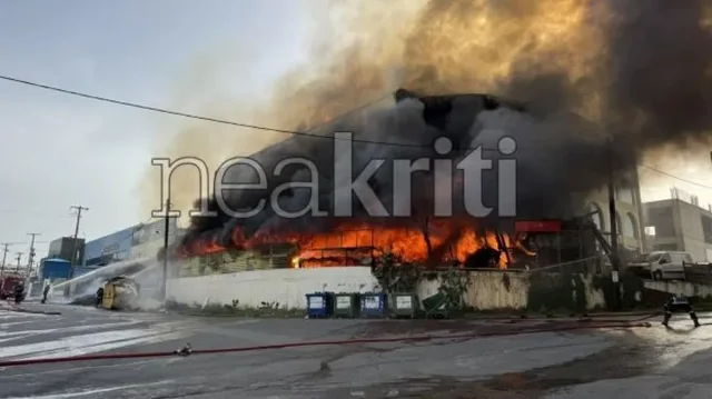 Zjarr i madh në Greqi, shkrumbohet nga flakët fabrika e drurit, qytetarët në alarm (VIDEO)