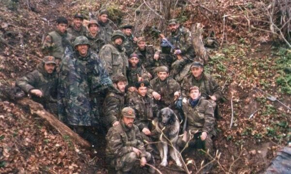 10 fakte për Betejën e Koshares