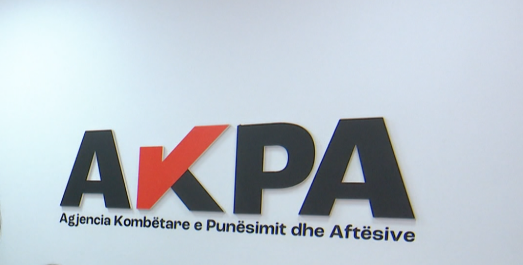 3500 persona me aftësi të kufizuar në kërkim të një pune