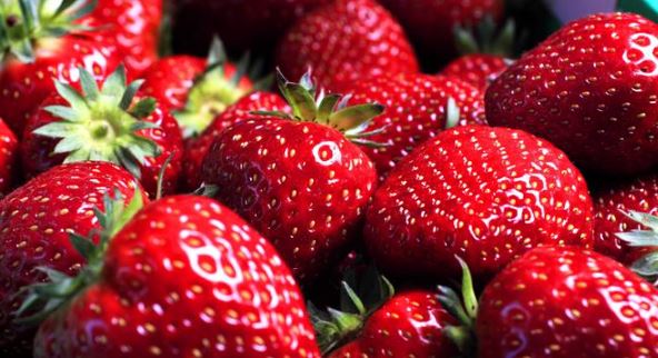 52 kg luleshtrydhe me pesticide nga Greqia, AKU: E gjithë sasia rezulton e shitur