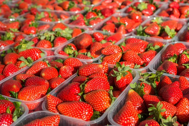 52 kg luleshtrydhe me pesticide u shitën në treg, AKU bllokon ngarkesat e tjera nga Greqia