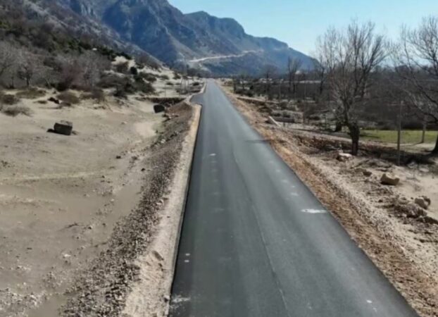 Aksident në aksin Shëngjin-Velipojë/ Shoferja 23-vjeçarja humb kontrollin e makinës, plagoset së bashku me pasagjeren