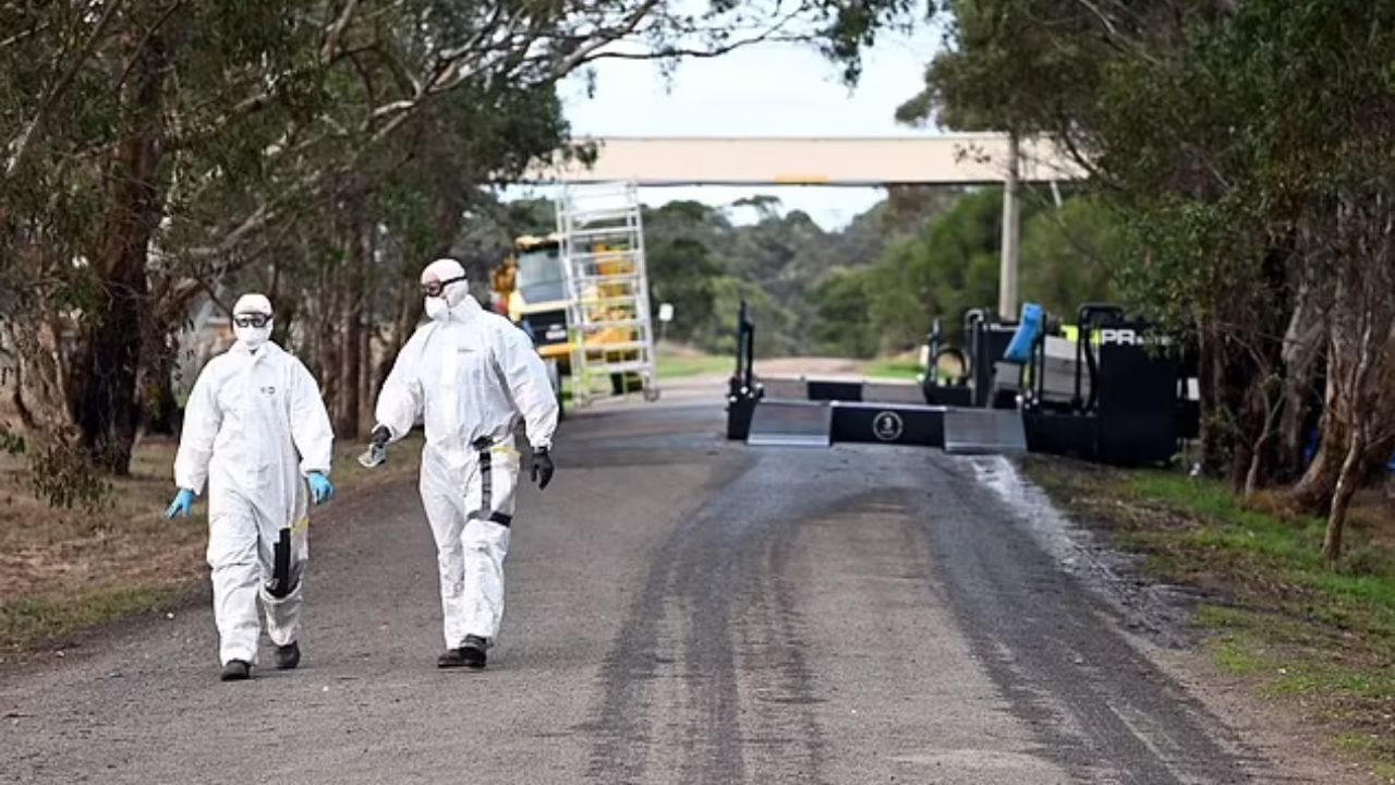 Alarmohet Amerika! Ekspertët e shëndetësisë paralajmërojnë përhapjen e gripit të shpendëve: Përgatituni për…