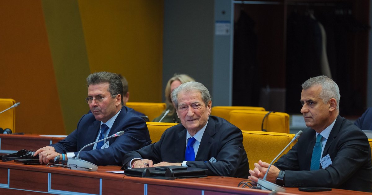 Berisha në KE: Rama ka bllokuar TikTok dhe ka instaluar pajisje DPI për të kontrolluar internetin