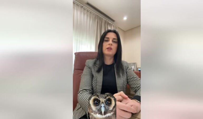 “Çfarë ke bërë për atë zonë përveç faktit që e ke quajtur gjithnjë kënetë?”/ Kryebashkiakja i kundërpërgjigjet Berishës