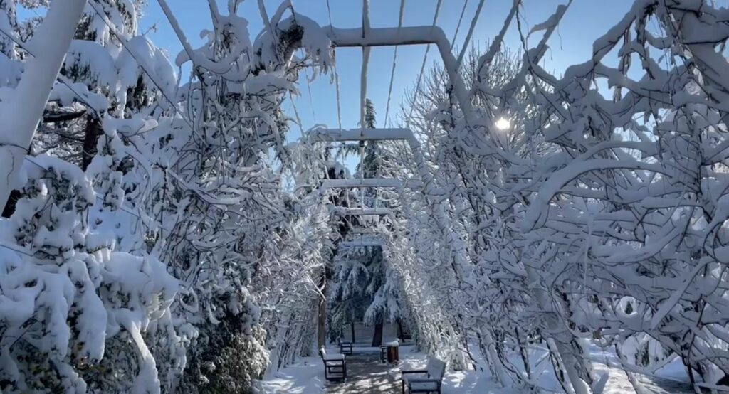 Dëbora zbardh disa qytete si të ishte dimër, ngrica e temperatura nën 0!