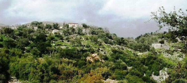 Delvinë/Përkujtohet 225 vjetori i Kuvendit të Besës, moment historik për Shqipërinë