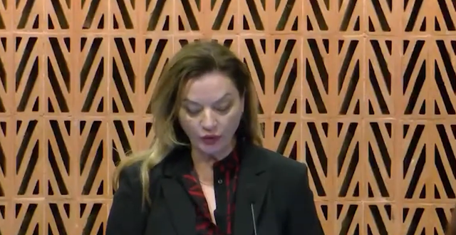 ‘Demokracia në Shqipëri po cënohet’, Vokshi në Asamblenë Parlamentare të KiE: BE të garantojë zgjedhje të lira