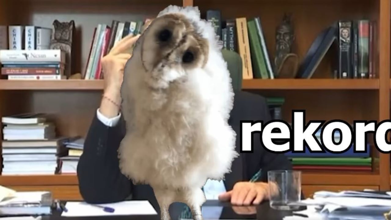 “Demokratët do të marrin shtëpitë”/ Deklarata e Berishës, Rama ironizon kryedemokratin