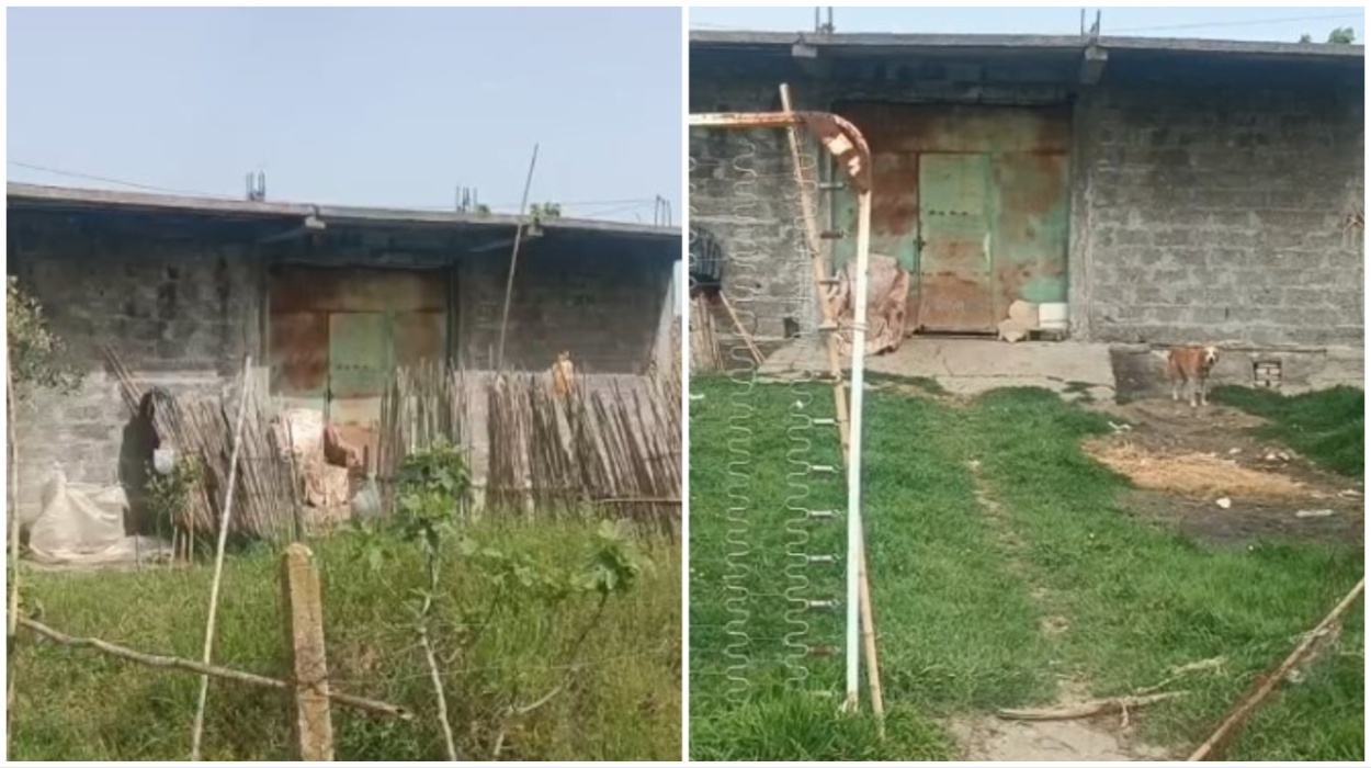 Detaje nga ngjarja në Lushnjë/ Shkoi për për t’i vjedhur bagëtitë, pronari e pa dhe hajduti …