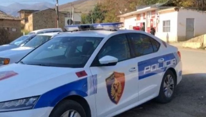 Dhunimi me sende të forta të punonjëses së OSHEE, pas autorit, arrestohet edhe një 28-vjeçar, ja roli i tij në ngjarje