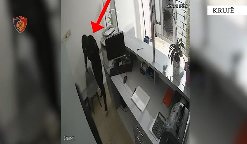 EMRAT/ “Skifterët” kapen mat! Shkatërrohet grupi kriminal në Fushë-Krujë, 4 të arrestuar dhe 3 të shpallur në kërkim