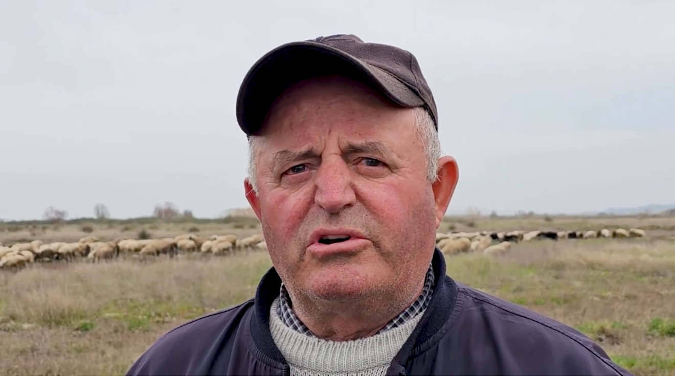 Fier – Fermeri Sali Duzha Rikthehet nga Emigracioni për të Investuar në Blegtori