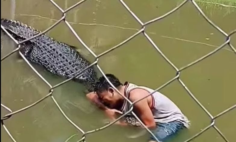 Filipine, burri ngatërron krokodilin me statujën për selfie, lufton me kafshën për 30 minuta