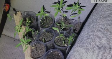 Finalizohet operacioni i koduar “Faza”/ Arrestohet 50-vjeçari me precedent të mëparshëm penal, përdorte armë dhe…