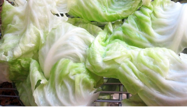 Gjethet e lakrës si kurë kundër dhimbjeve të kokës