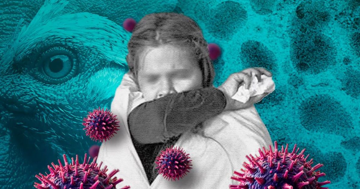 Gripi i shpendëve/ Infektohet vajzë 3-vjeçare në Meksikë, mjekët: Është rëndë! Njoftohet OBSH