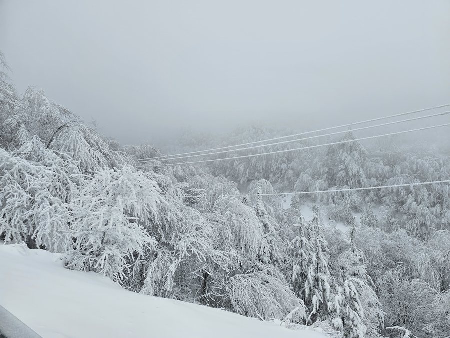 Humbi në malin e Pashtrikut, gjendet i pajetë 27-vjeçari