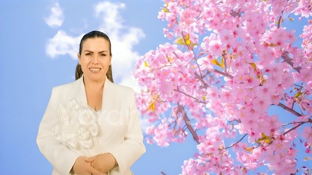 Ikin ‘plakat e Prillit’, vjen Pranvera/ Keni bërë plane? Lajda Porja zbulon çfarë do të ndodhë me motin gjatë fundjavës