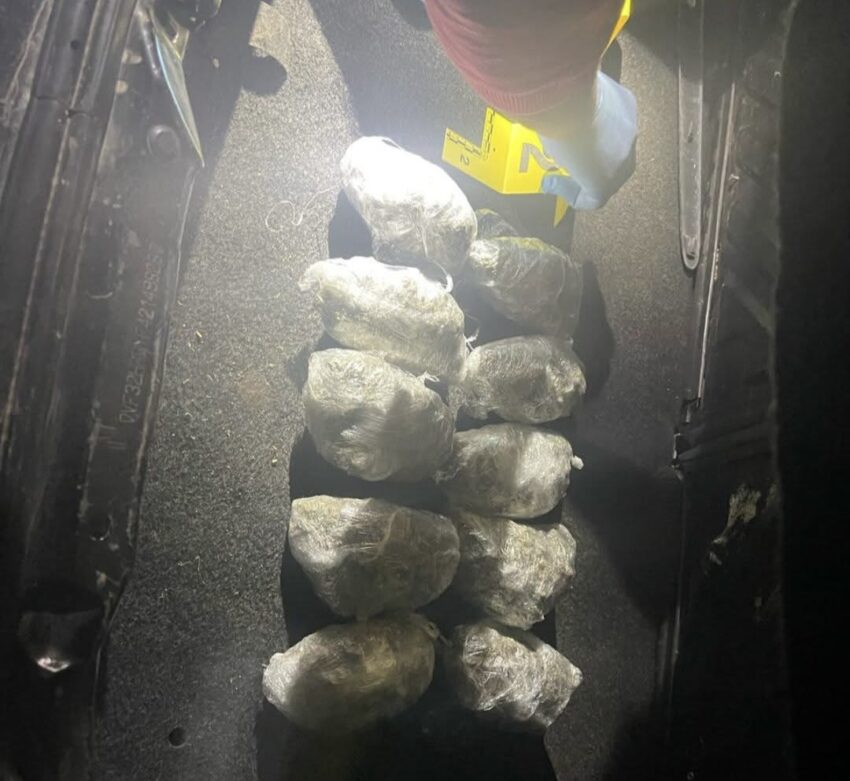 Kapet një kg marihuanë në Vushtrri, arrestohet i dyshuari