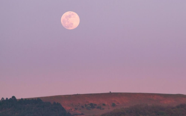 Këto janë shenjat që do të preken më shumë nga hëna rozë e prillit