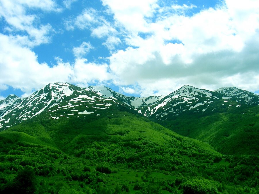 Kishin dalë për dru në pyll/ 27- vjeçari gjendet i ngrirë, babai i tij në gjendje të rëndë shëndetësore…