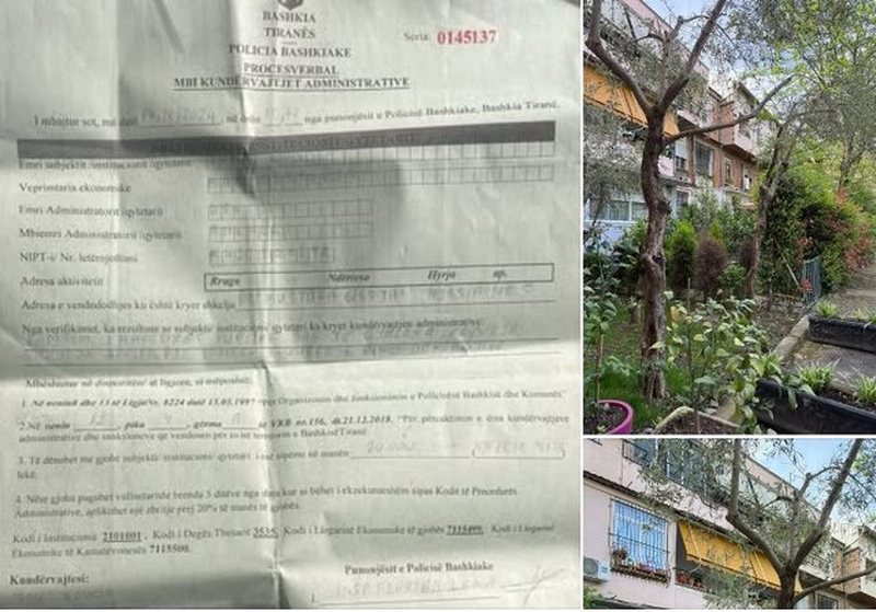 “Kjo nuk është policia bashkiake që na duhet”, shpërthen Braçe: I vendosin qytetarit 200 mijë lekë gjobë se krasiti pemët e veta